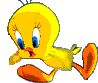 tweety-bird.jpg