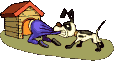 angrydog-abc.gif